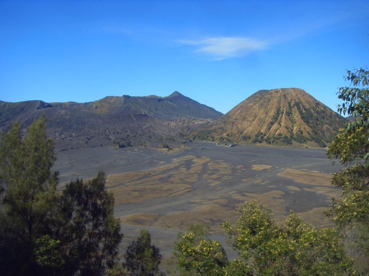 Homestay Cahyo